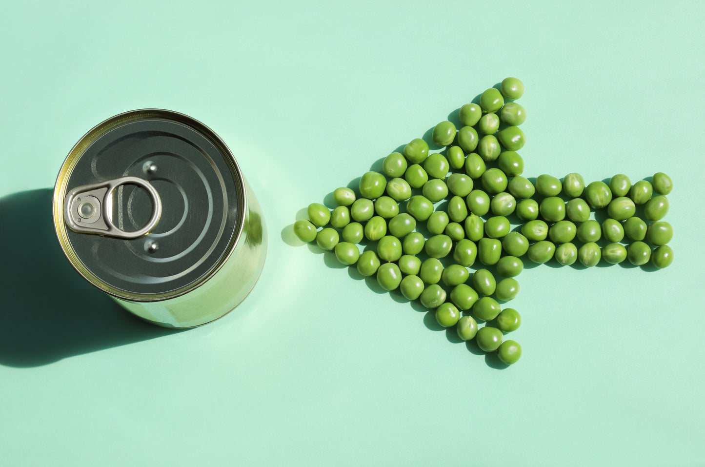 50 GREEN ARROW PEA Heirloom Shelling English Pisum Sativum Vegetable Seeds