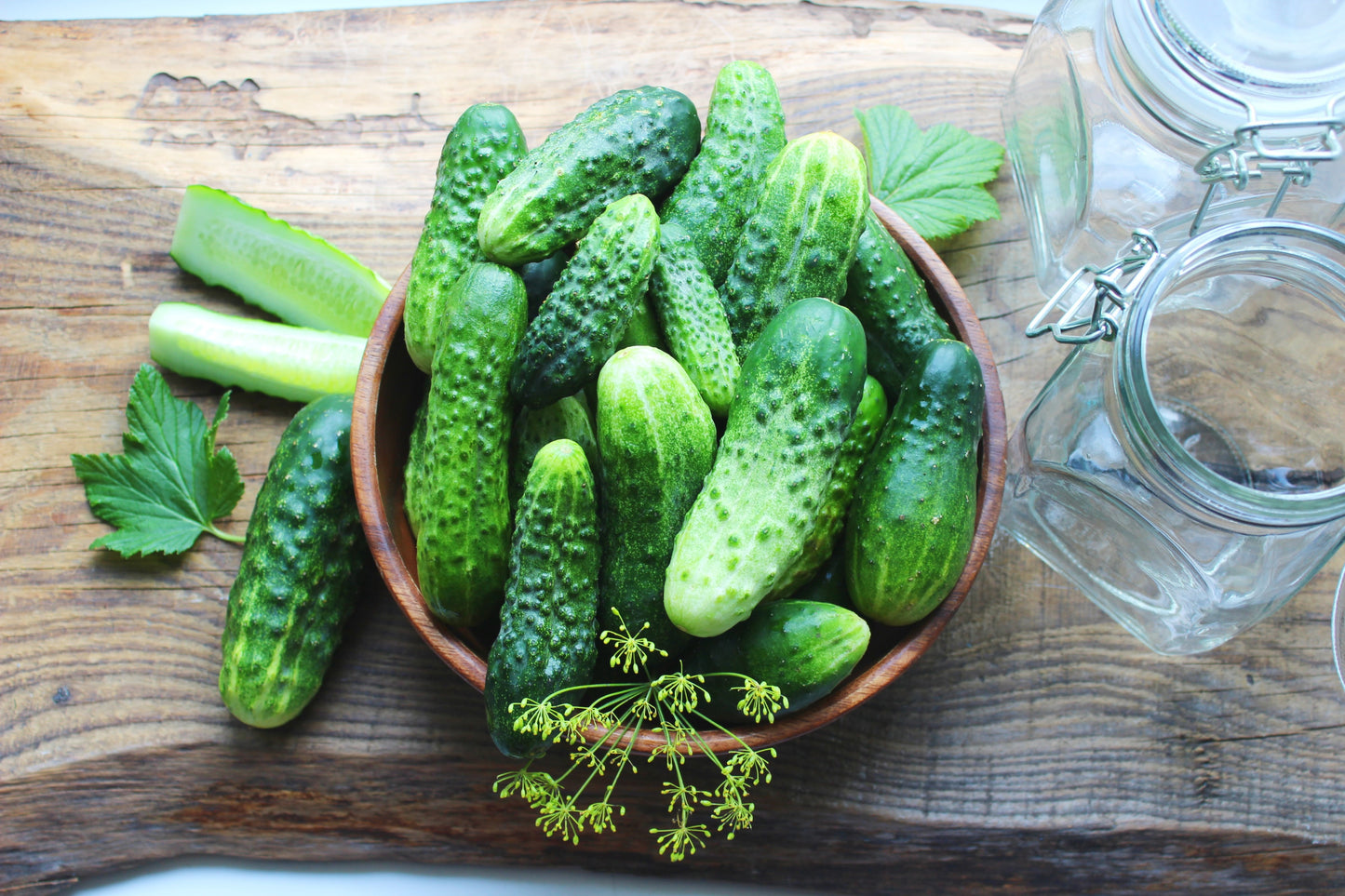 200 NATIONAL PICKLING CUCUMBER Fruit Cucumis Sativus Seeds