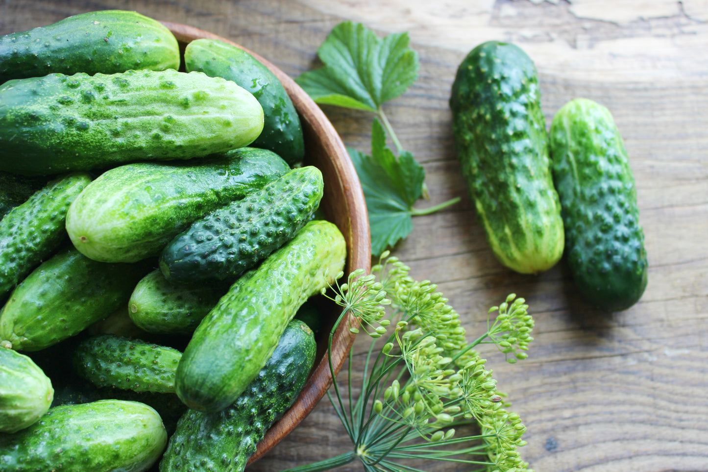 200 NATIONAL PICKLING CUCUMBER Fruit Cucumis Sativus Seeds