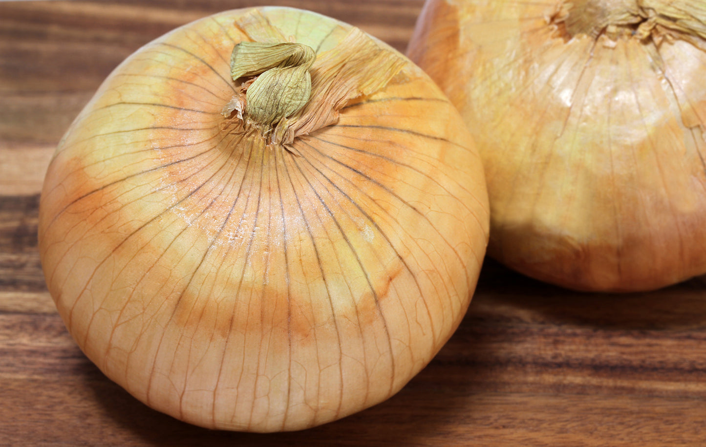 400 Texas EARLY GRANO ONION Large Sweet Yellow Allium Cepa Vegetable Seeds