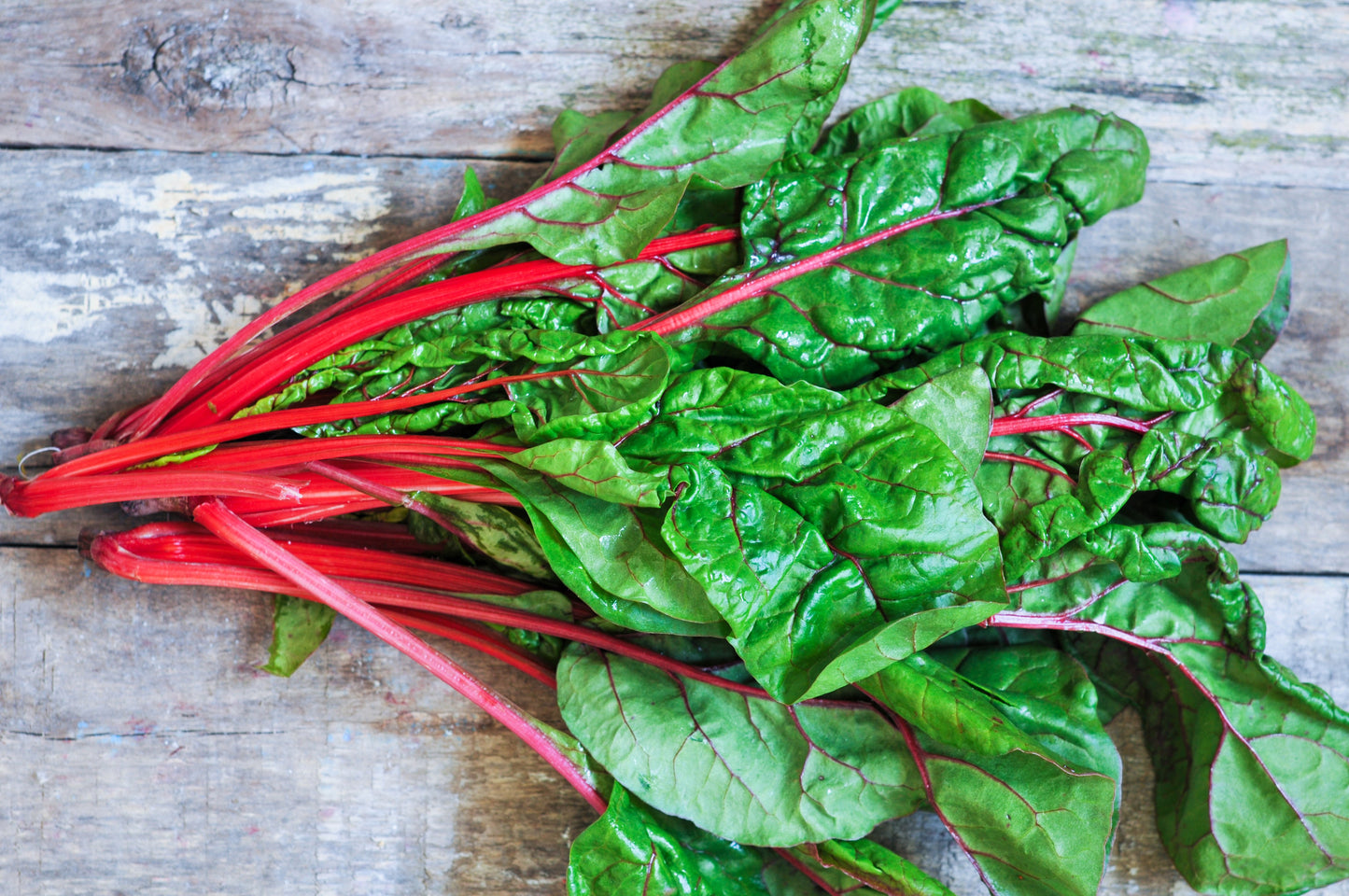 300 RUBY RED SWISS CHARD (Perpetual Spinach) Beta Vulgaris Cicla Vegetable Seeds