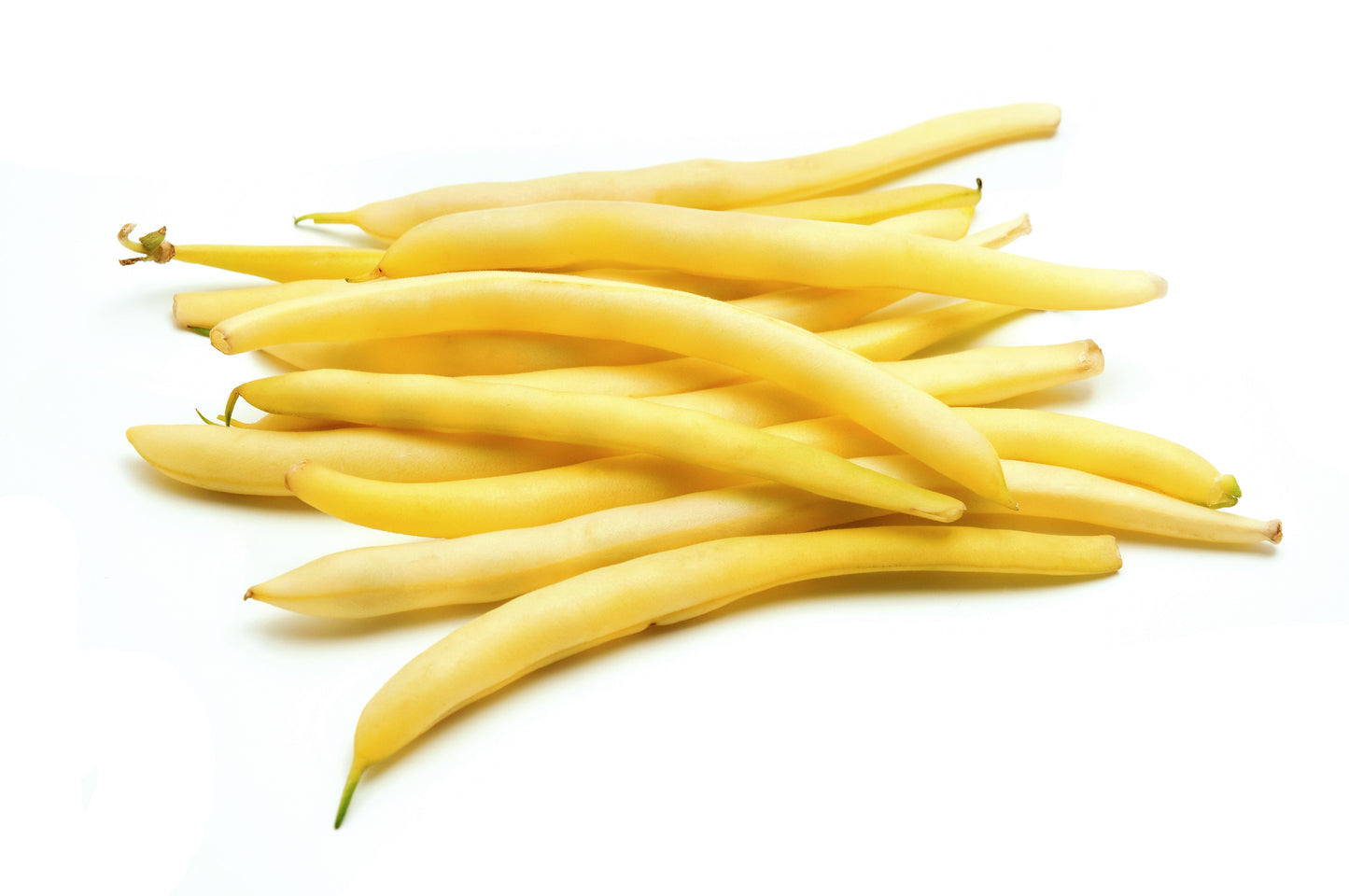 50 Yellow CHEROKEE WAX BEAN Bush AAS Winner Phaseolus Vulgaris Seeds