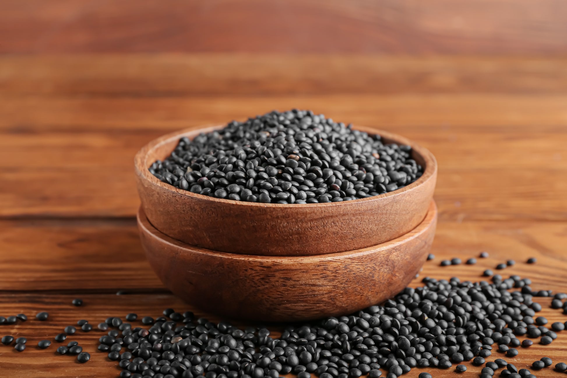 lentil plant seeds 100 BLACK LENTIL Bush Lens Culinaris Vegetable Legume Sprouts Seeds – Seedville USA
