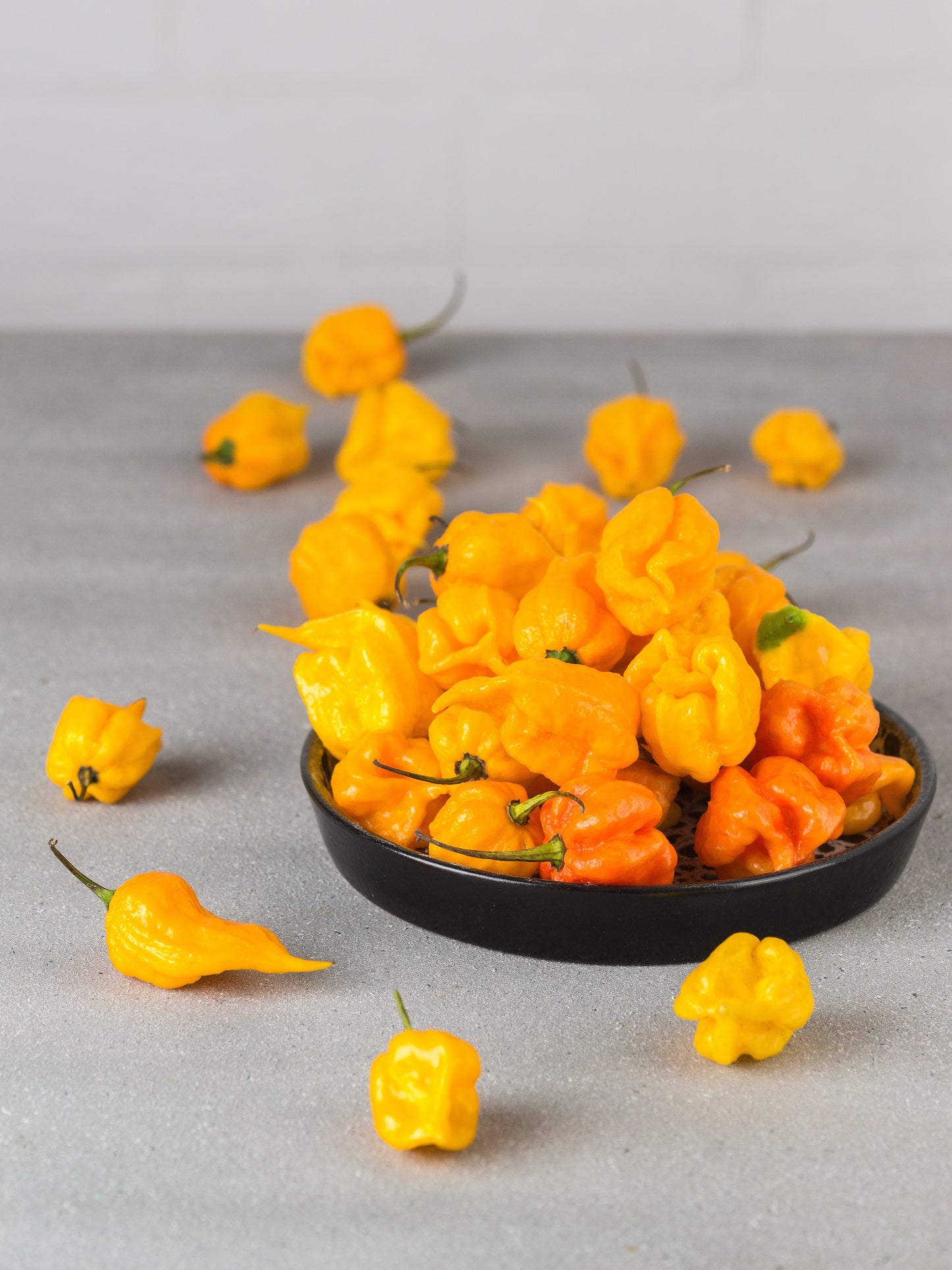 10 Yellow CAROLINA REAPER PEPPER World's Hottest Capsicum Chinense Hot Chili Vegetable Seeds