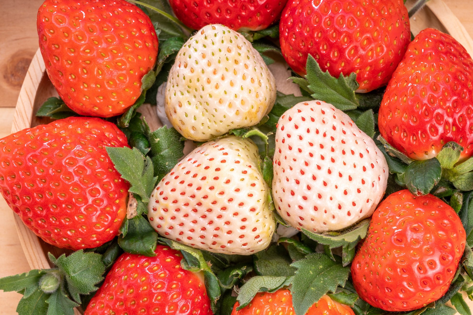 white strawberry red seeds 100 WHITE SOUL STRAWBERRY Fragaria Vesca Fruit Flower Berry Seeds