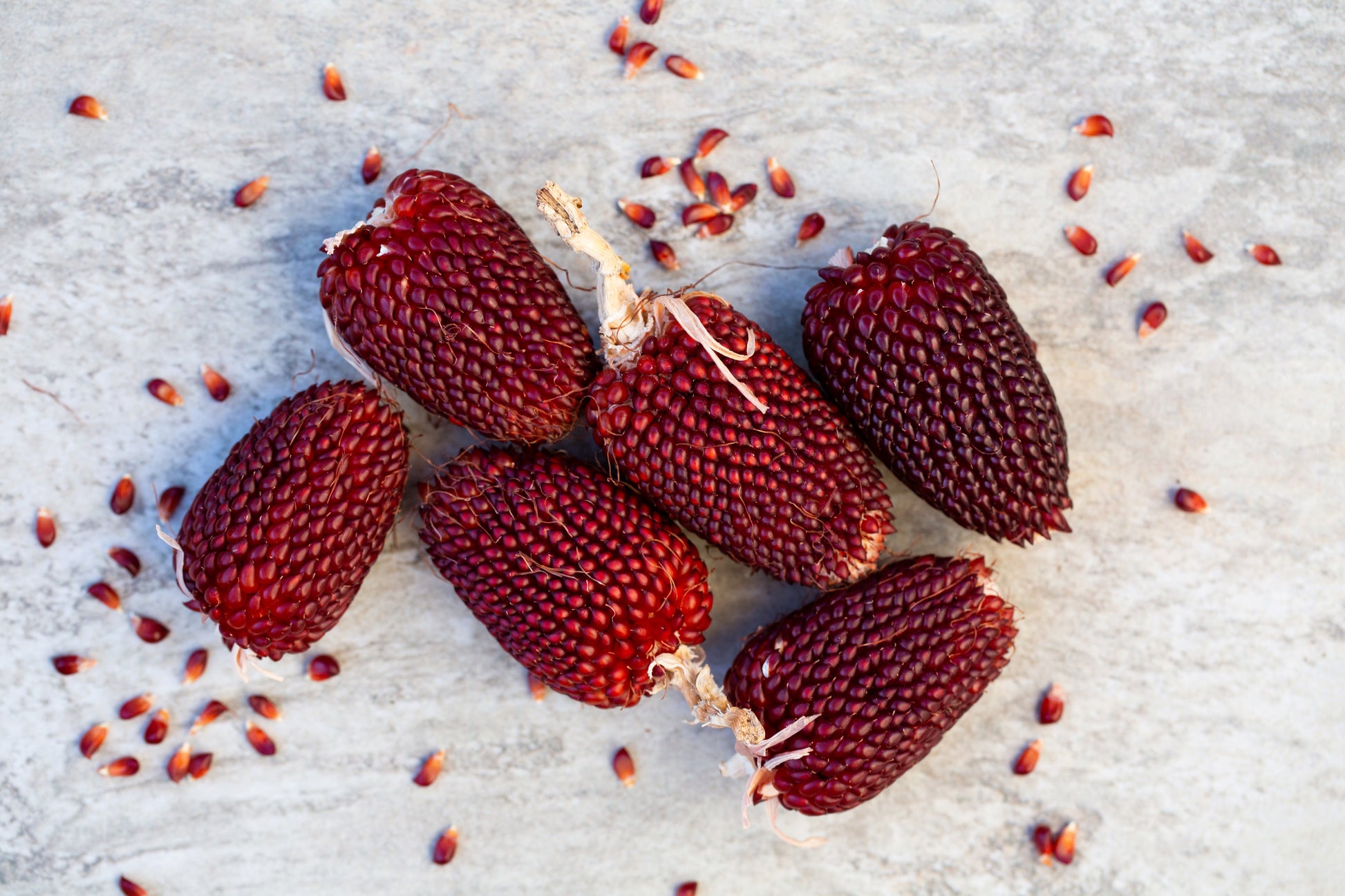 red strawberry seeds 150 Red STRAWBERRY POPCORN CORN Zea Mays Vegetable Seeds – Seedville USA