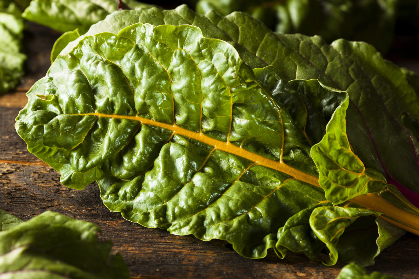 40 YELLOW CANARY SWISS CHARD Beta Vulgaris Perpetual Spinach Vegetable Seeds