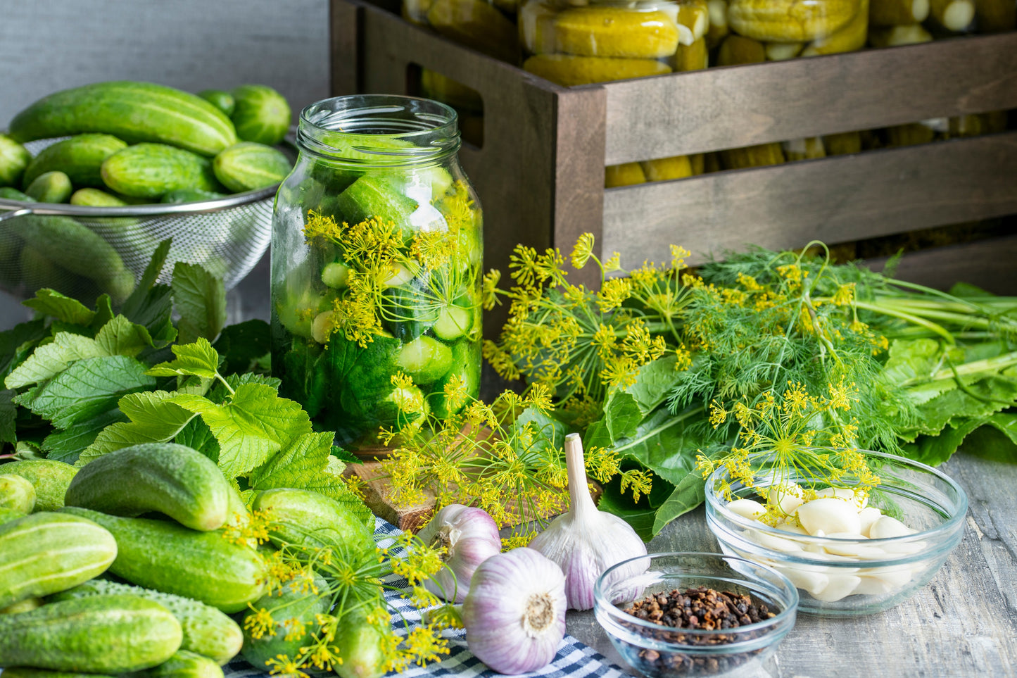 150 BOSTON PICKLING CUCUMBER Heirloom Cucumis Sativus Fruit Vegetable Seeds