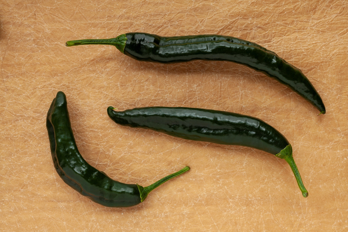 50 PASILLA BAJIO PEPPER Mexican Chilaca Chile Negro Capsicum Annuum Vegetable Seeds