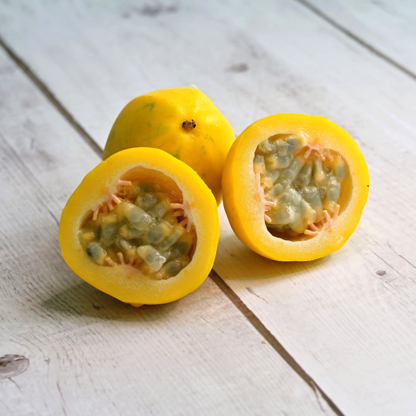 10 YELLOW PASSION FRUIT Vine Passiflora Edulis Flavicarpa Golden Passionfruit Purple & White Flower Seeds