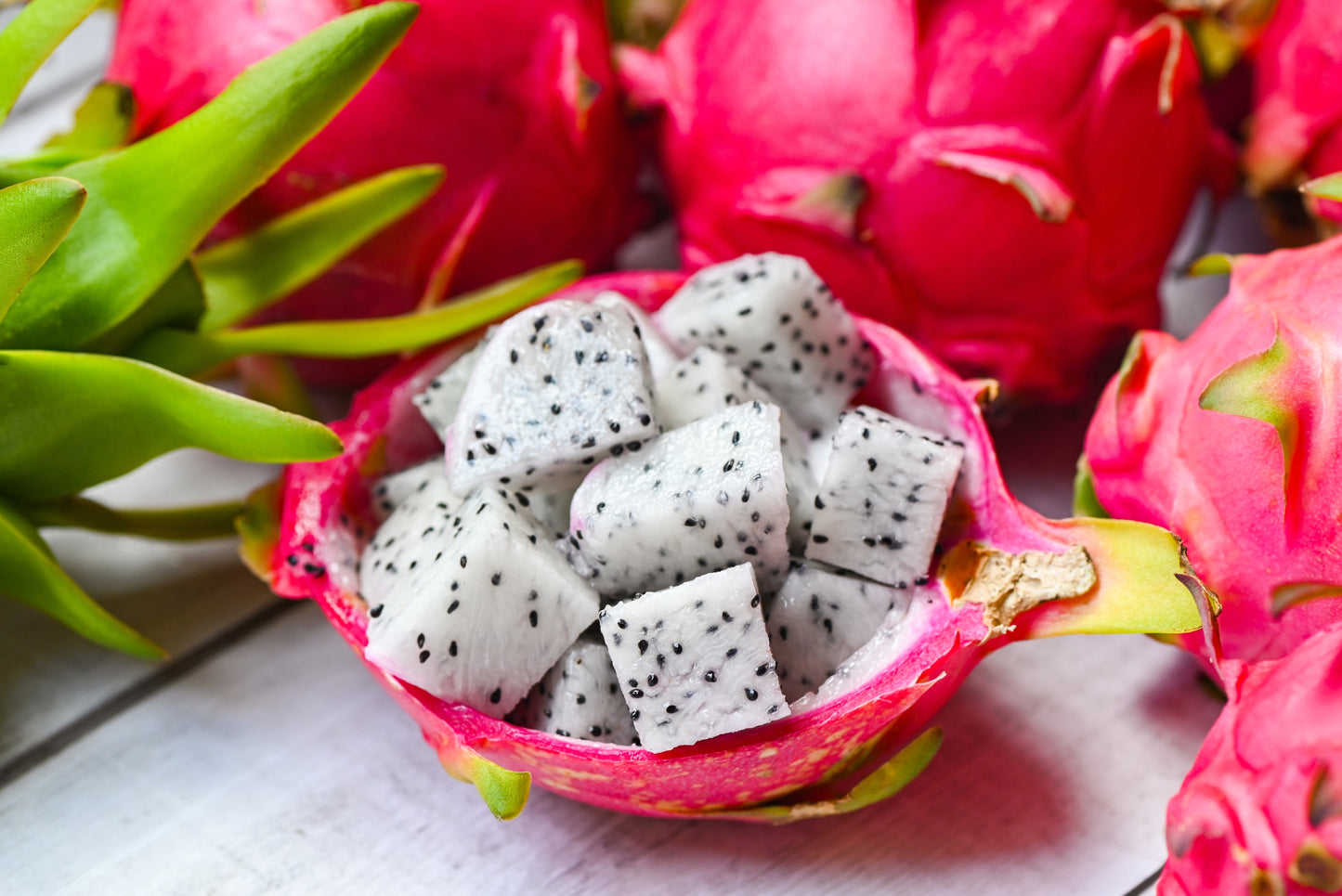 20 WHITE DRAGON FRUIT (Pitaya / Pitahaya / Strawberry Pear) Hylocereus Undatus Cactus Seeds