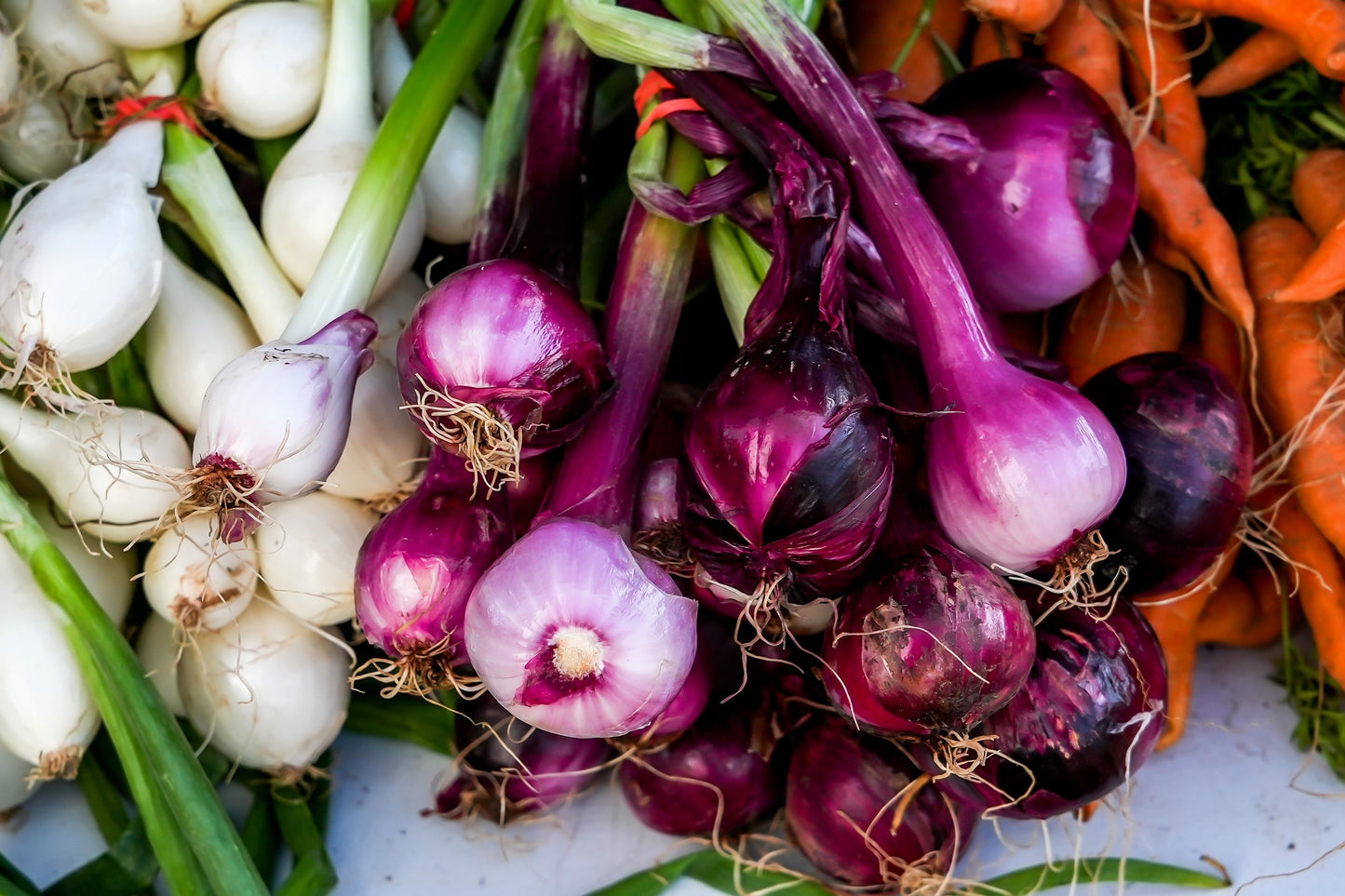 100 SCARLET BANDIT Bunching ONION Red Allium Cepa Vegetable Seeds