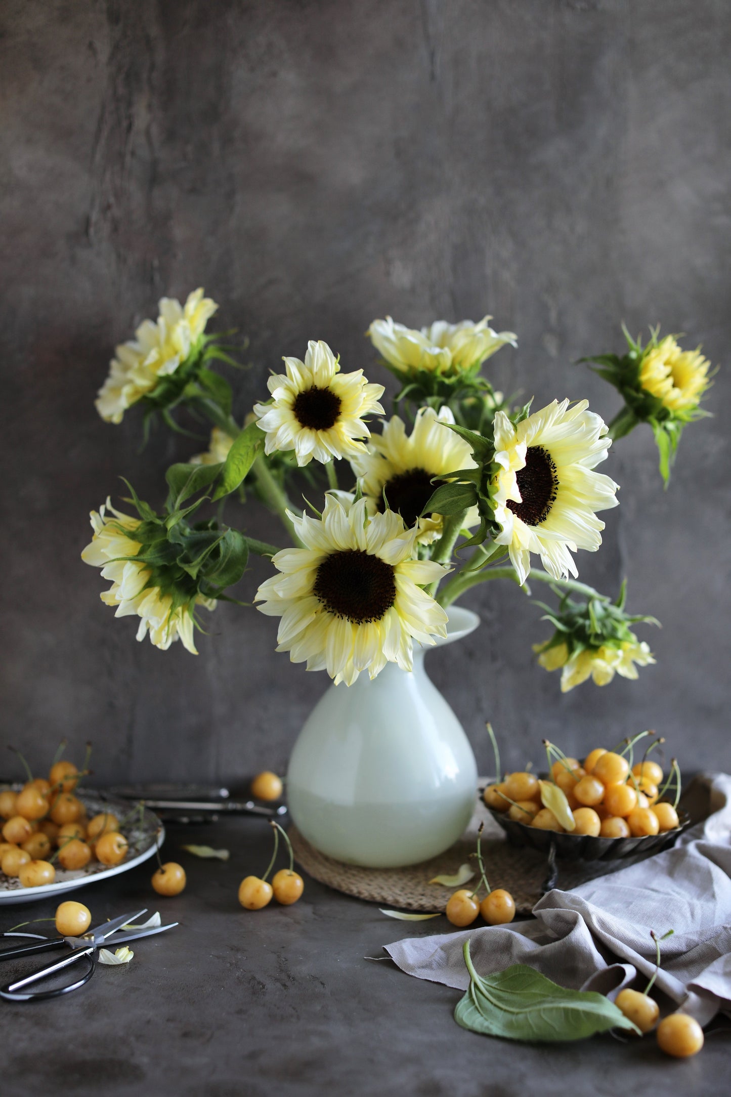 25 ITALIAN WHITE SUNFLOWER Helianthus Debilis Flower Seeds