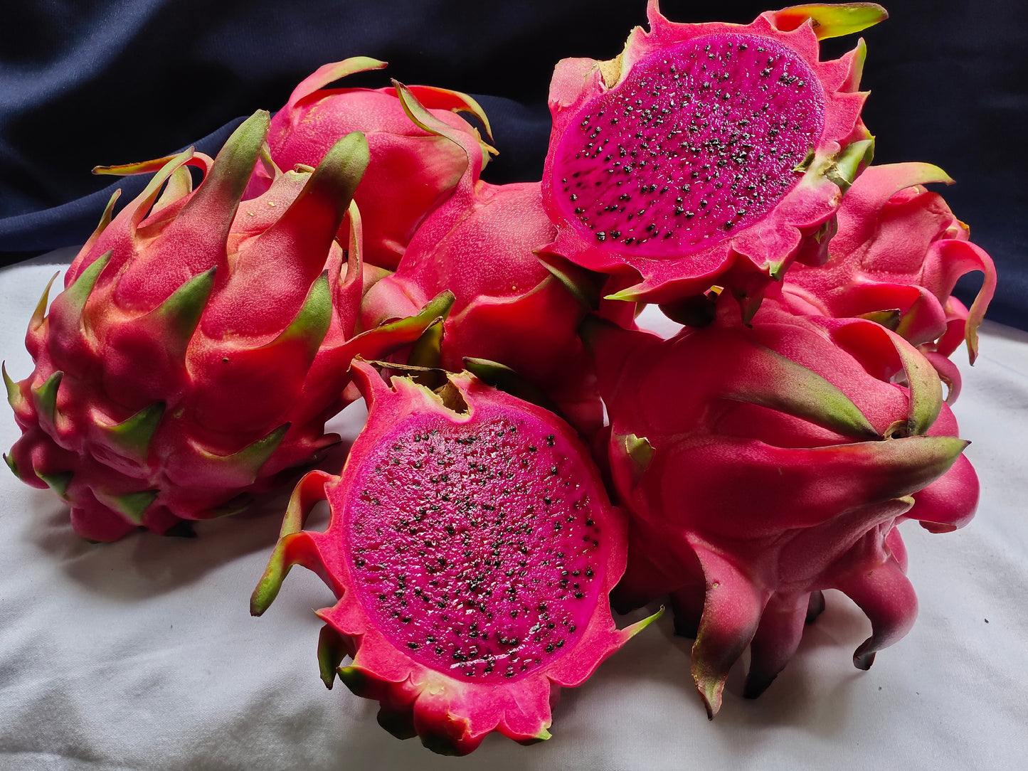 20 PURPLE DRAGON FRUIT (Pitaya / Pitahaya / Strawberry Pear) Hylocereus Undatus Cactus Seeds