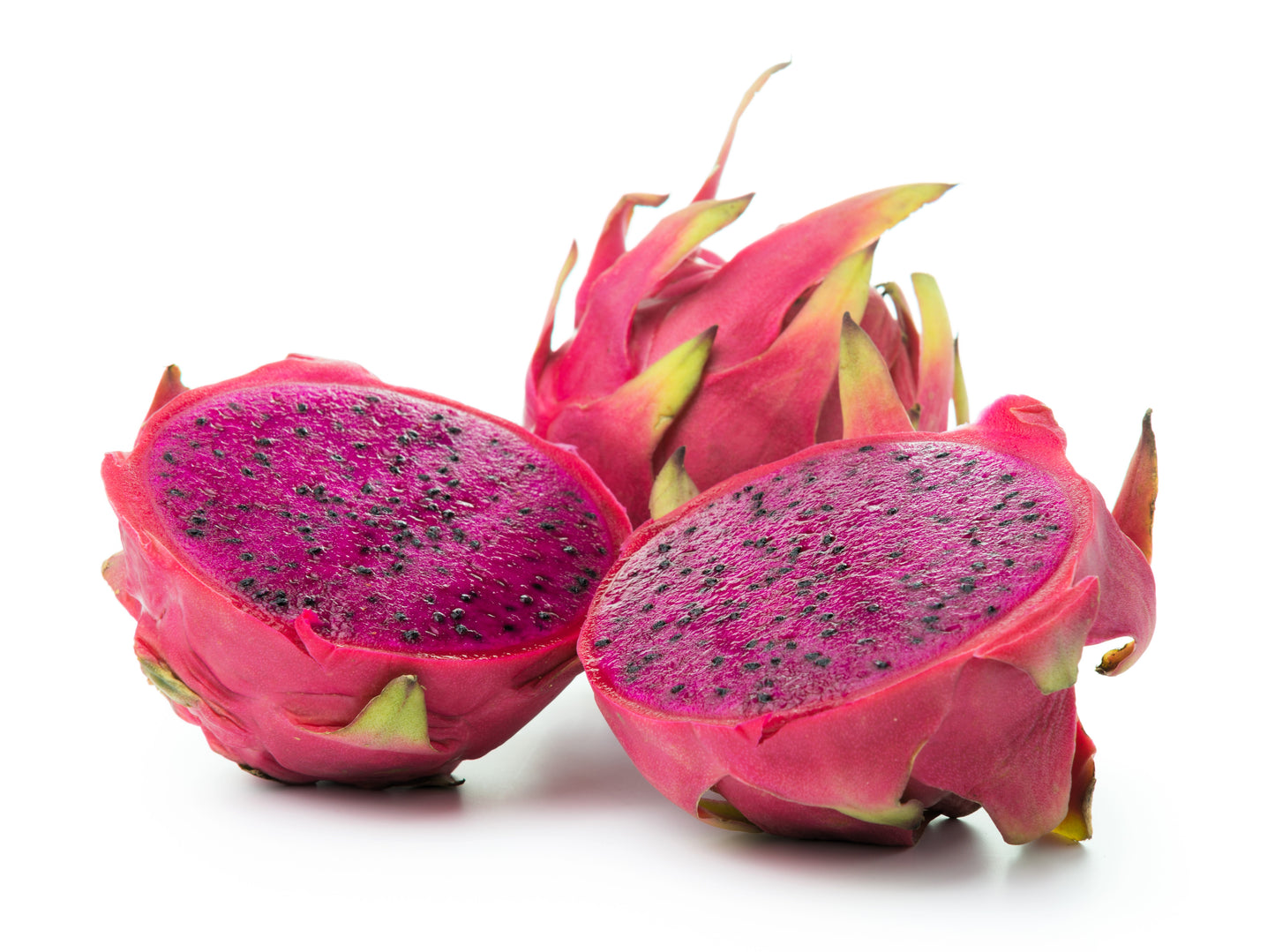 20 PURPLE DRAGON FRUIT (Pitaya / Pitahaya / Strawberry Pear) Hylocereus Undatus Cactus Seeds