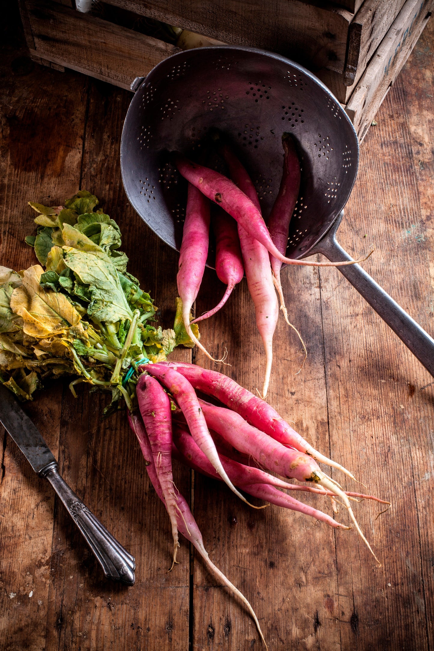 100 PINK SUMMERSICLE RADISH Raphanus Sativus Root Vegetable Seeds