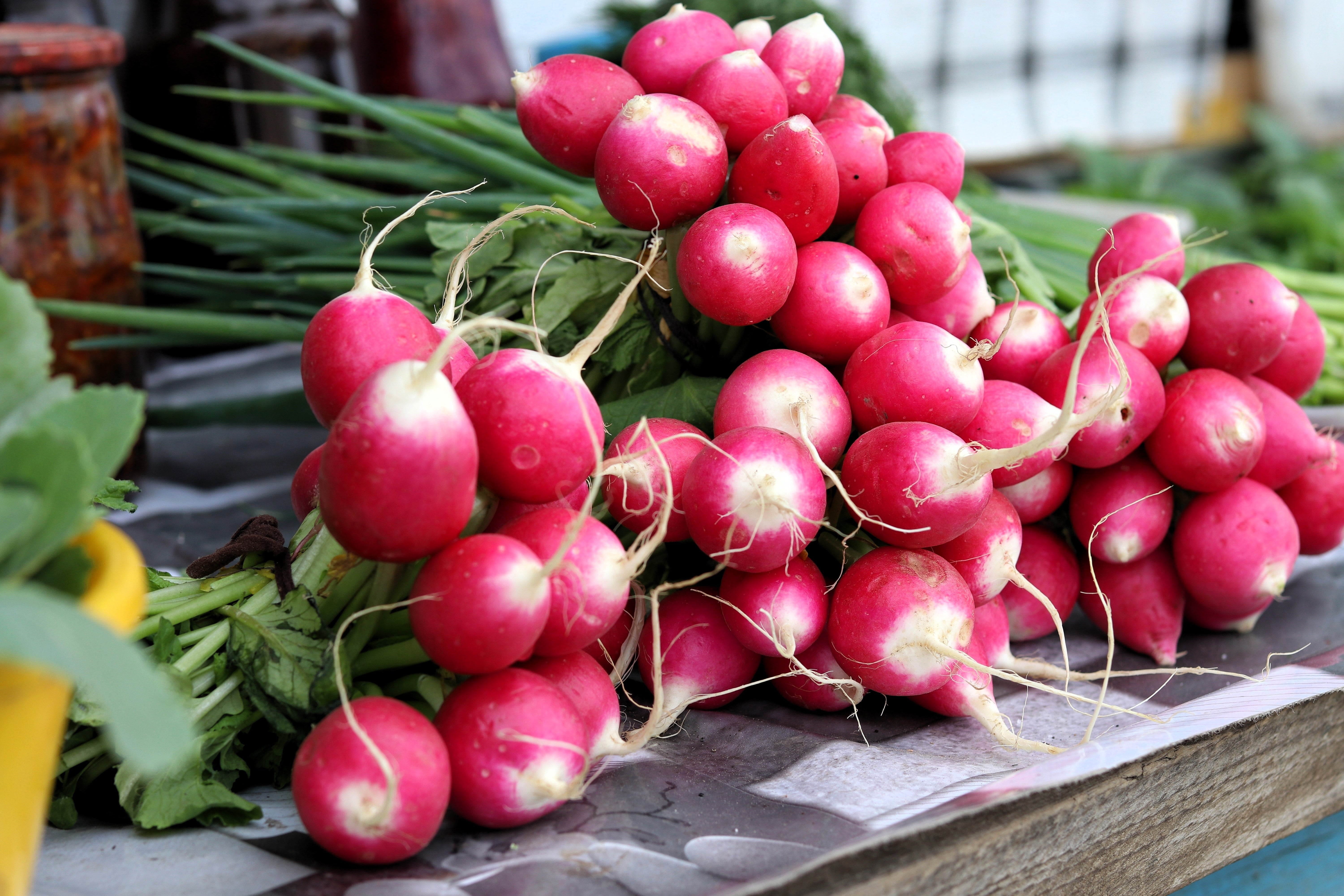 500 SPARKLER WHITE Tip RADISH Sweet European Red Raphanus Sativus