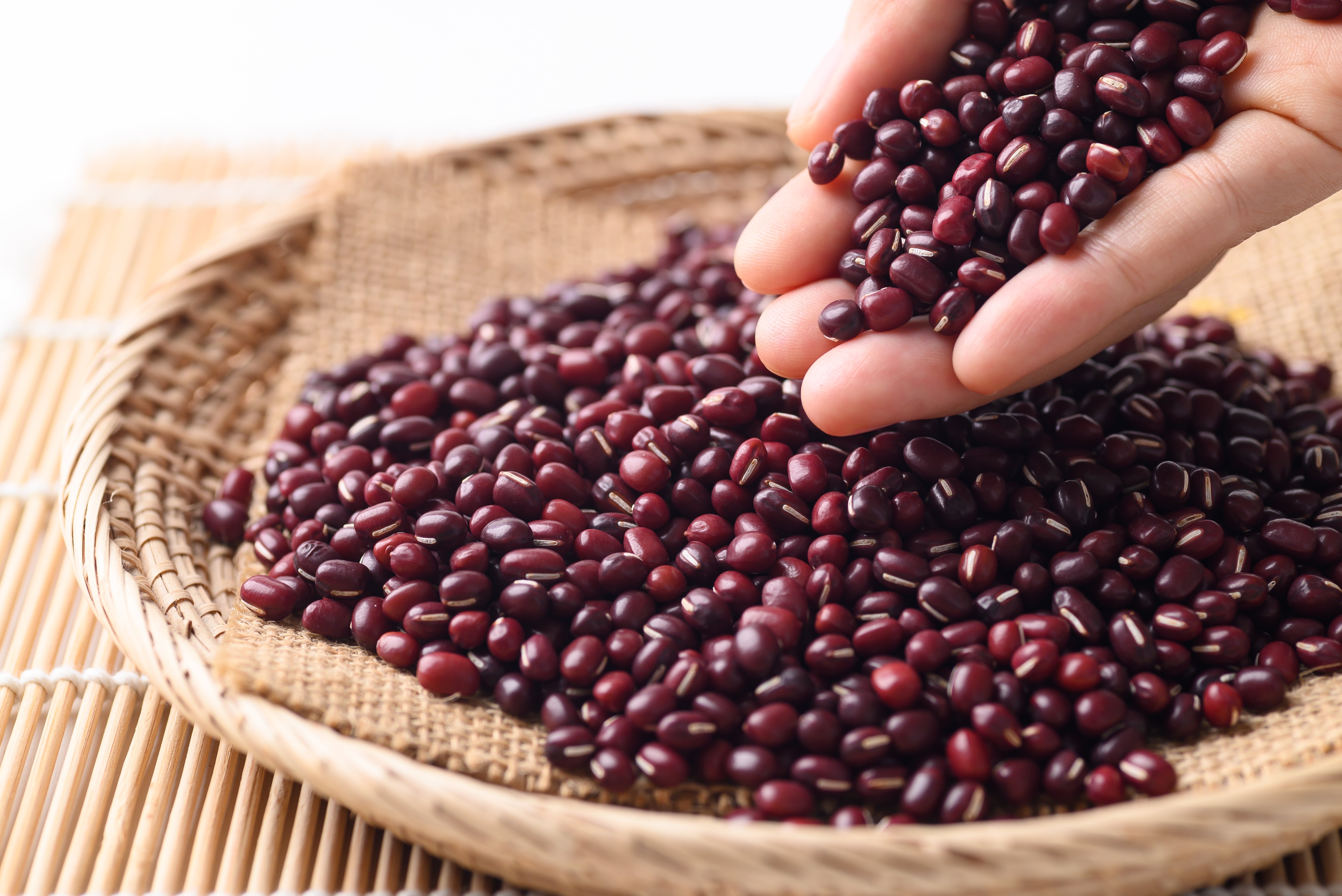 50 ADZUKI BEAN Aduki Red Bean Maroon Phaseolus Angularis Legume