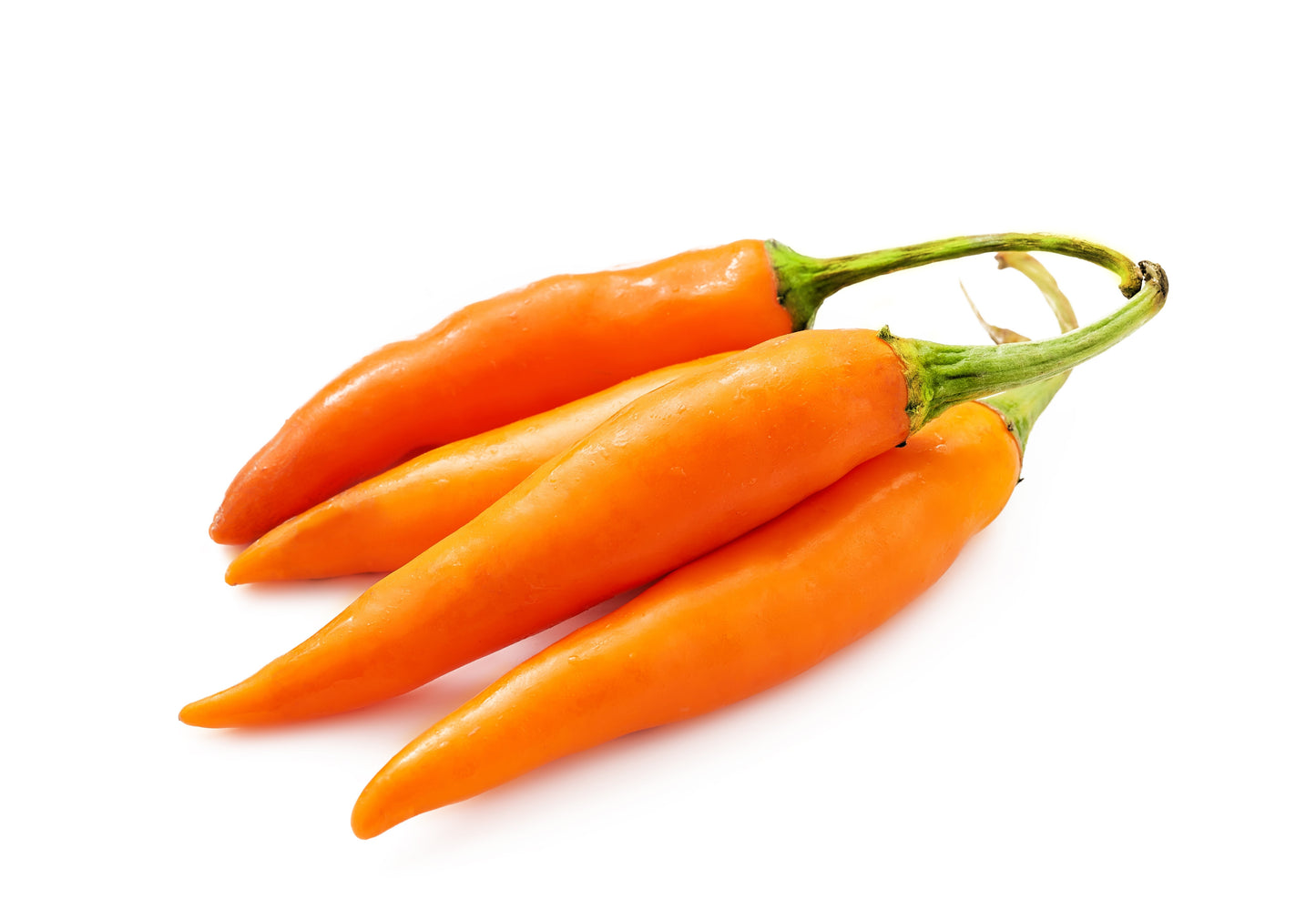 100 MIXED CAYENNE PEPPER Yellow Purple Orange Red Green Capsicum Vegetable Seeds