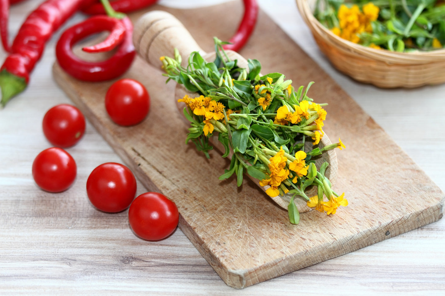 300 MEXICAN Mint MARIGOLD Spanish Tarragon Tagetes Lucida Flower Herb Seeds