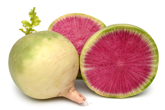 300 WATERMELON RADISH Beauty Heart Raphanus Sativus Pink White Vegetable Seeds