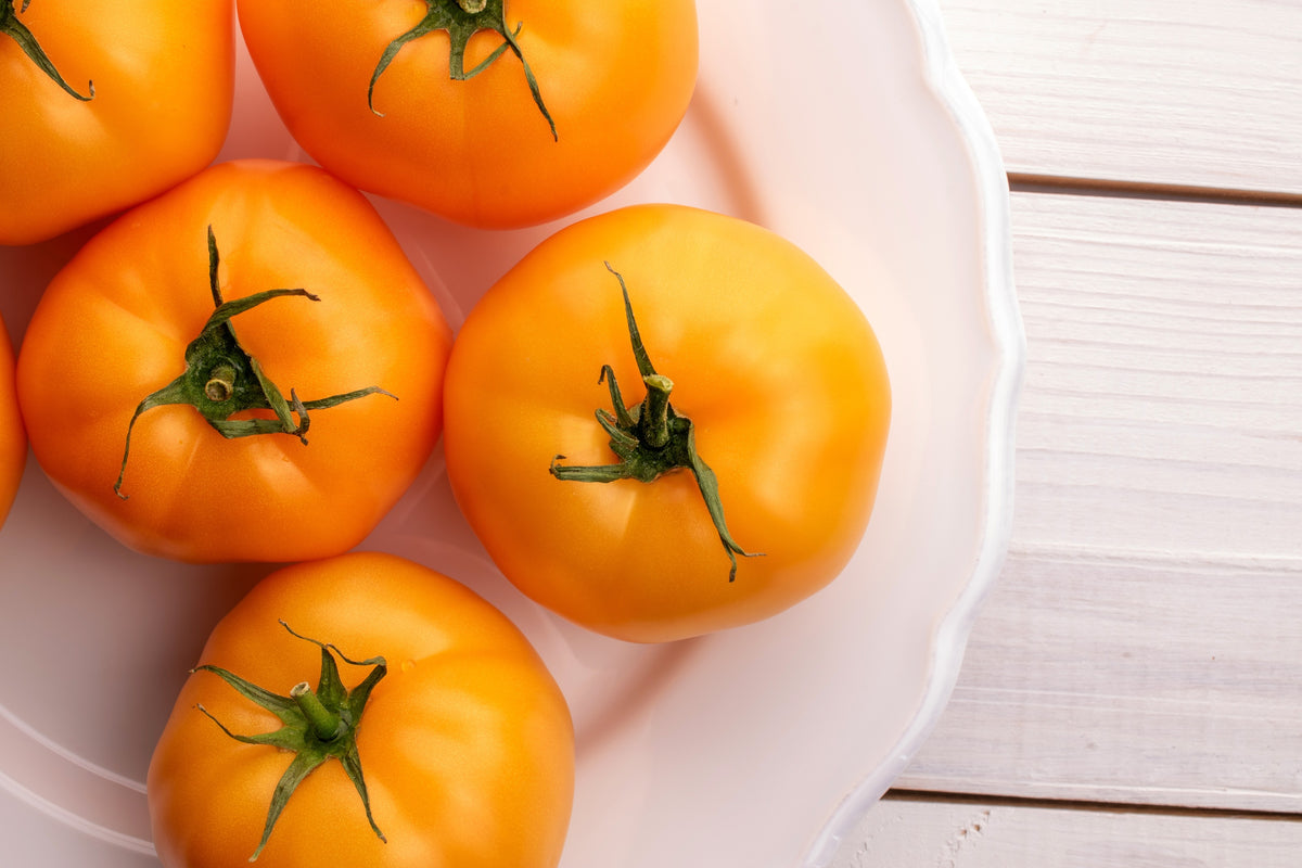 150 GOLDEN JUBILEE TOMATO Yellow Lycopersicon Lycopersicum Fruit Vegetable Seeds