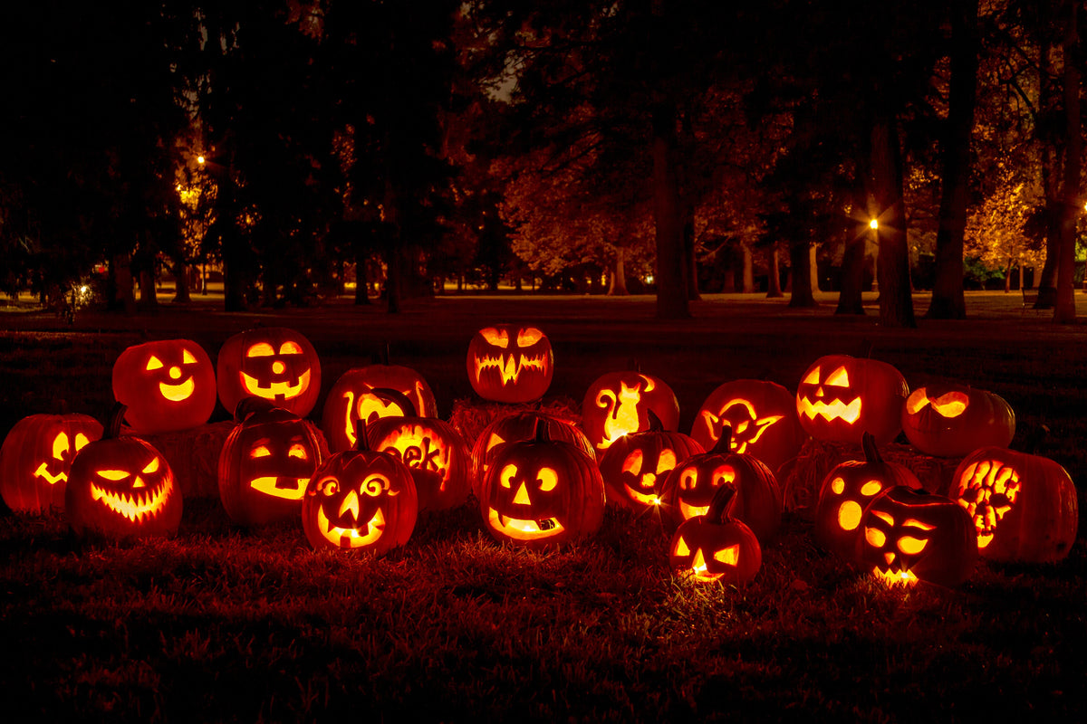 50 JACK O LANTERN PUMPKIN Cucurbita Maxima Vegetable Seeds