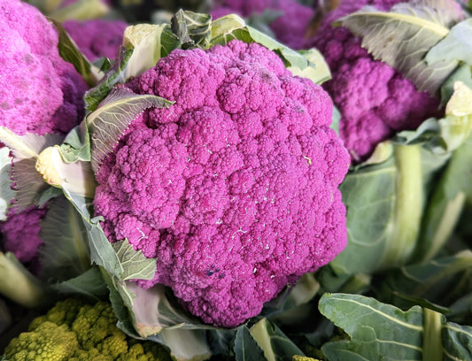 25 PURPLE CAULIFLOWER Violet Queen Brassica Oleracea Botrytis Vegetable Seeds