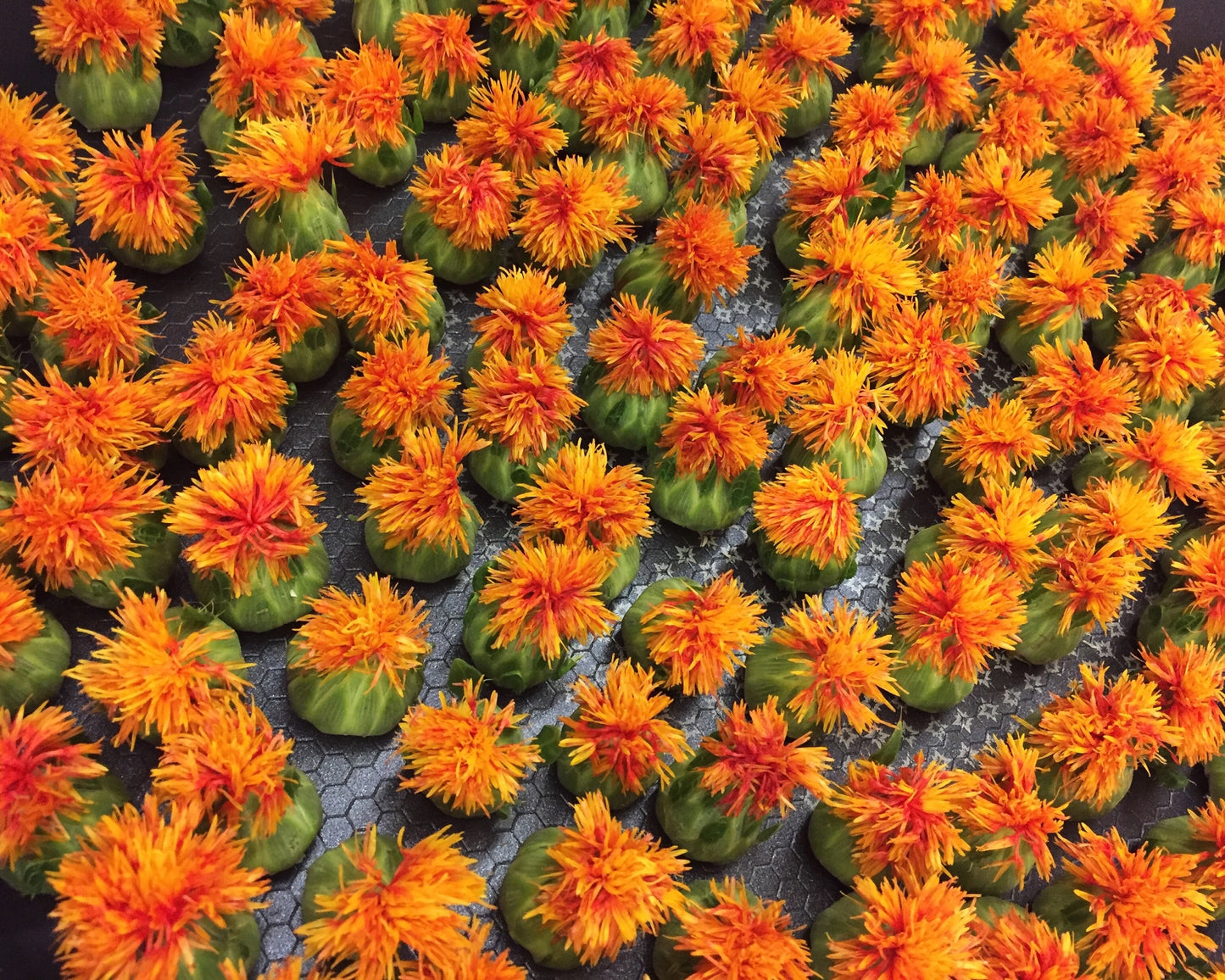 300 SAFFLOWER Saffron Carthamus Tinctorius Yellow Orange Flower Seeds