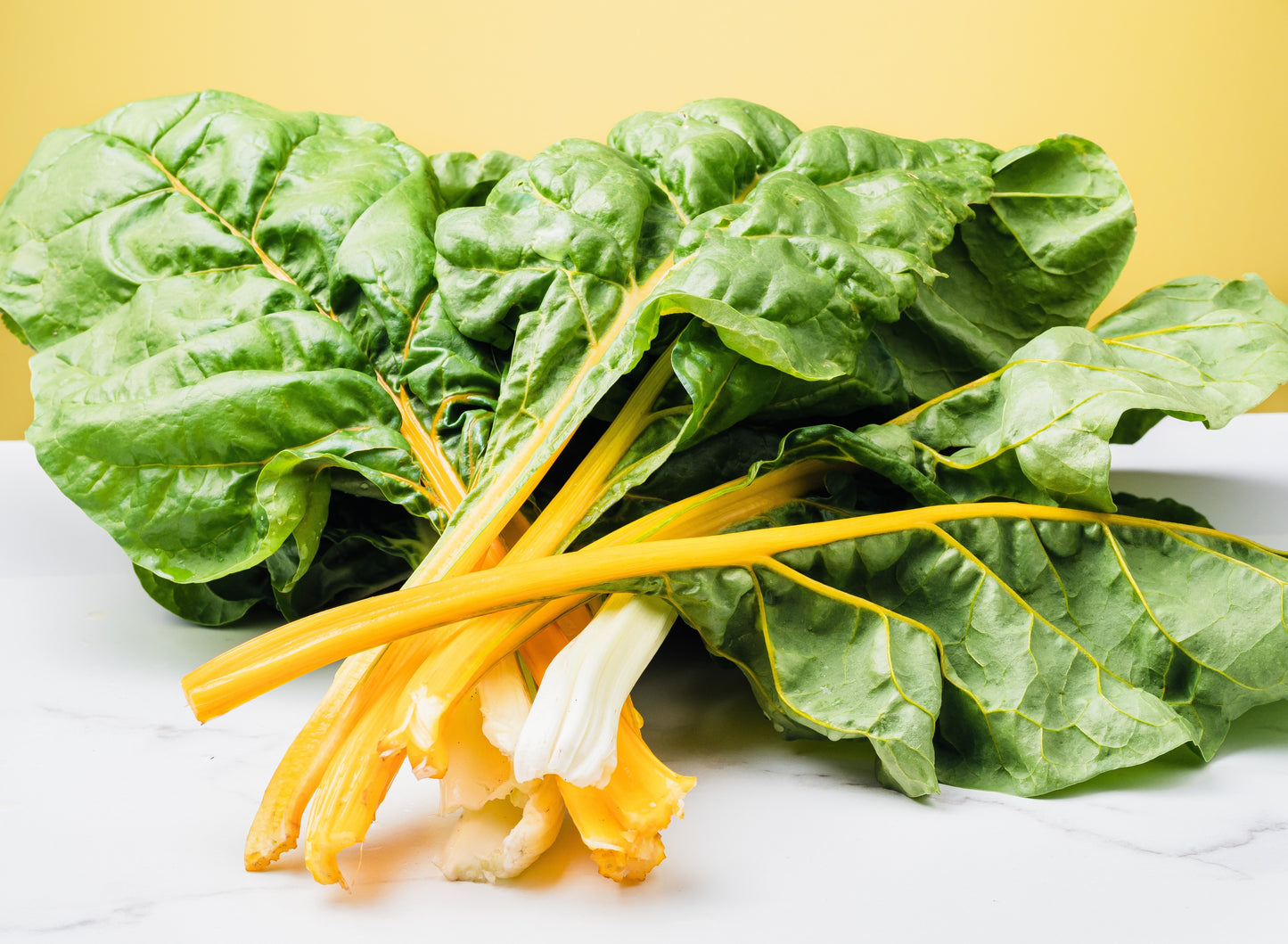 40 YELLOW CANARY SWISS CHARD Beta Vulgaris Perpetual Spinach Vegetable Seeds