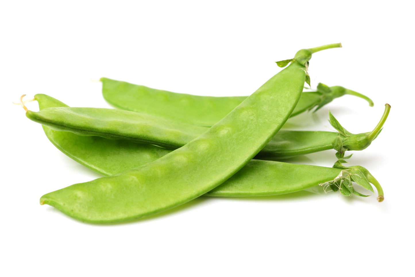 50 Mammoth MELTING SUGAR PEA Stringless Snow Pea Pisum Sativum Vegetable Seeds