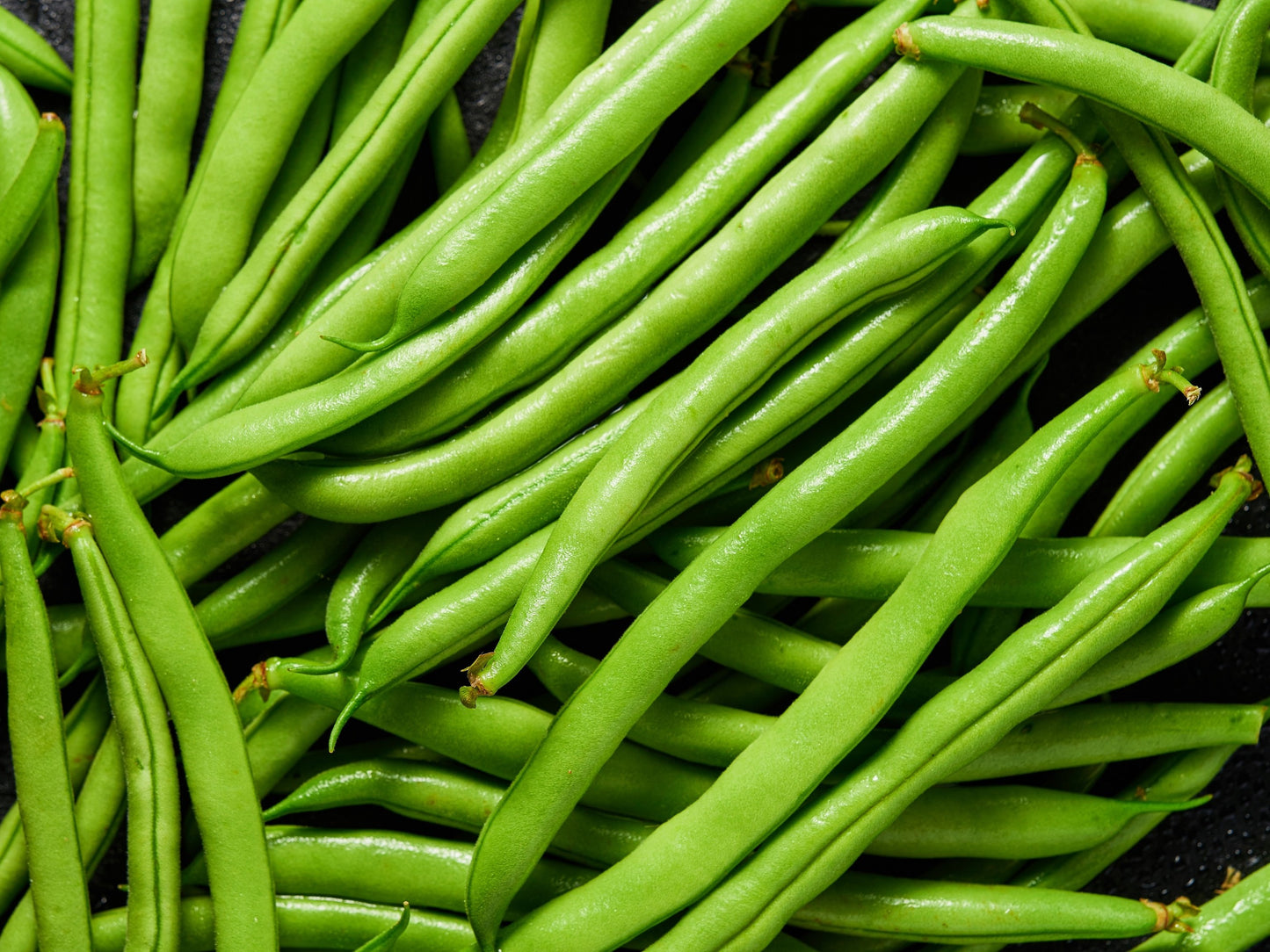 50 GREENCROP GREEN BEAN Phaseolus Vulgaris Vegetable Seeds