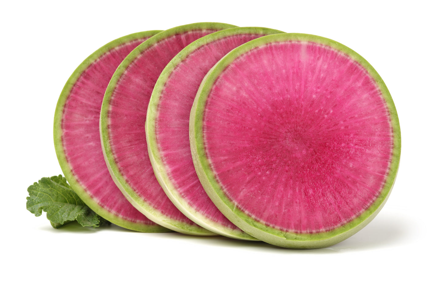 300 WATERMELON RADISH Beauty Heart Raphanus Sativus Pink White Vegetable Seeds