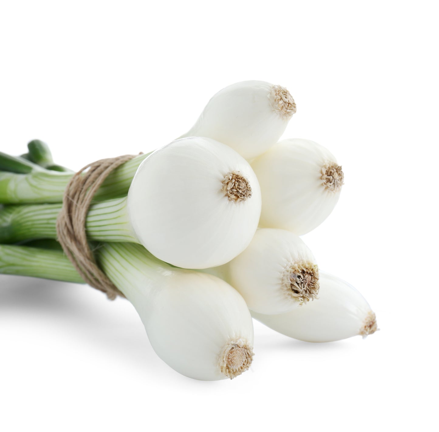500 SOUTHPORT White Globe BUNCHING ONION Allium Cepa Vegetable Seeds