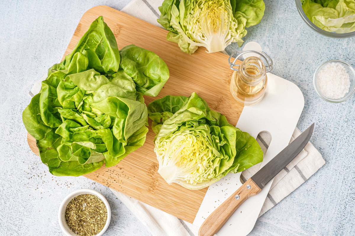2000 BIBB LETTUCE Butterhead Lactuca Sativa Vegetable Seeds