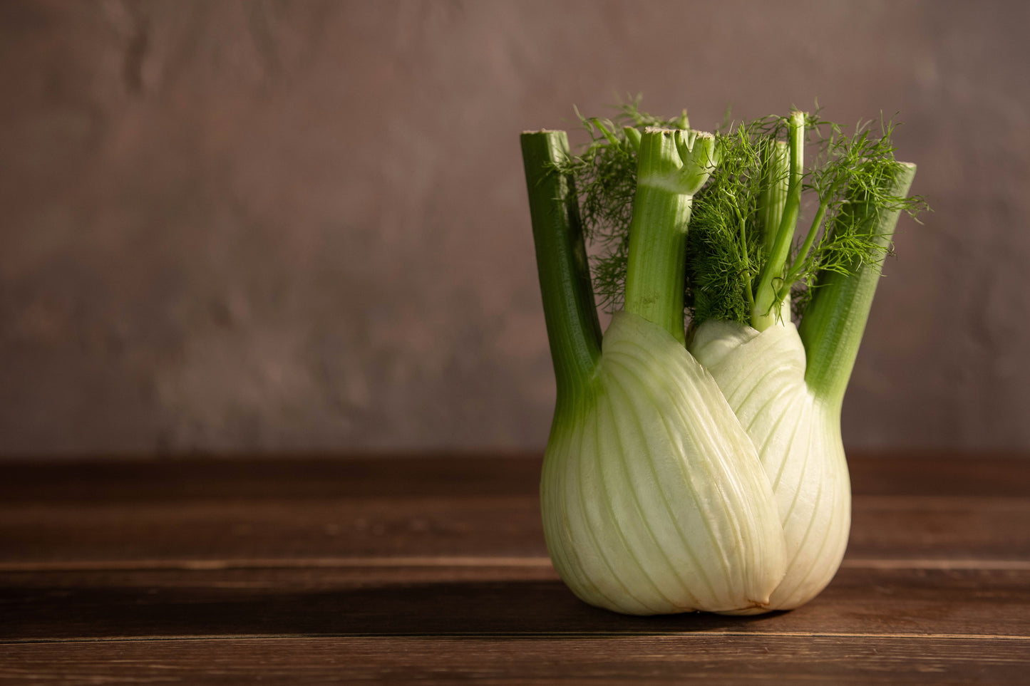 300 SWEET FLORENCE FENNEL Foeniculum Vulgare Azoricum Herb Vegetable Flower Seeds