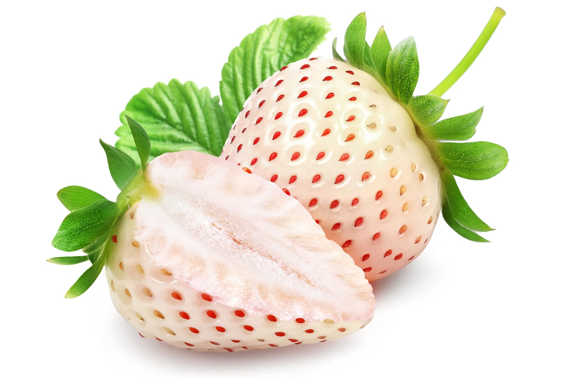 cardinal strawberry seeds 100 WHITE SOUL STRAWBERRY Fragaria Vesca Fruit Flower Berry Seeds – Seedville USA