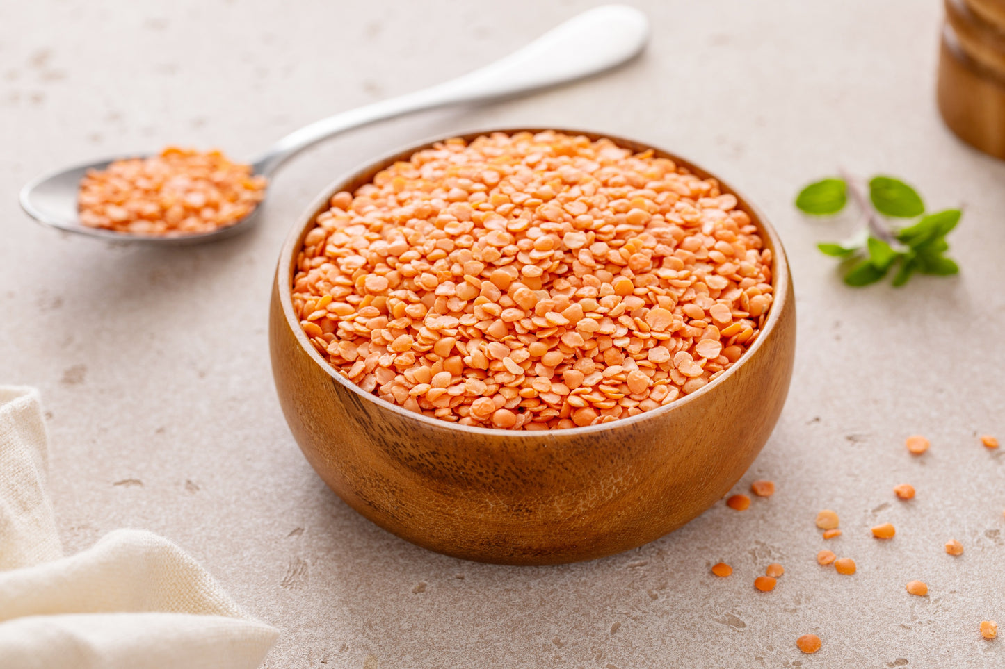 100 RED LENTIL Lens Culinaris Vegetable Seeds