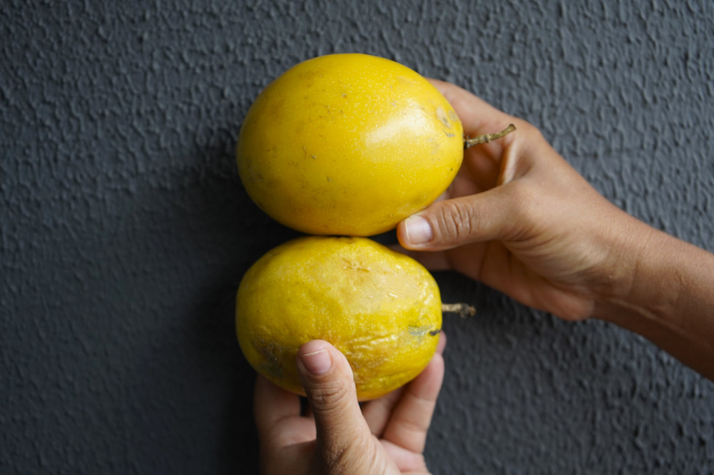 10 YELLOW PASSION FRUIT Vine Passiflora Edulis Flavicarpa Golden Passionfruit Purple & White Flower Seeds