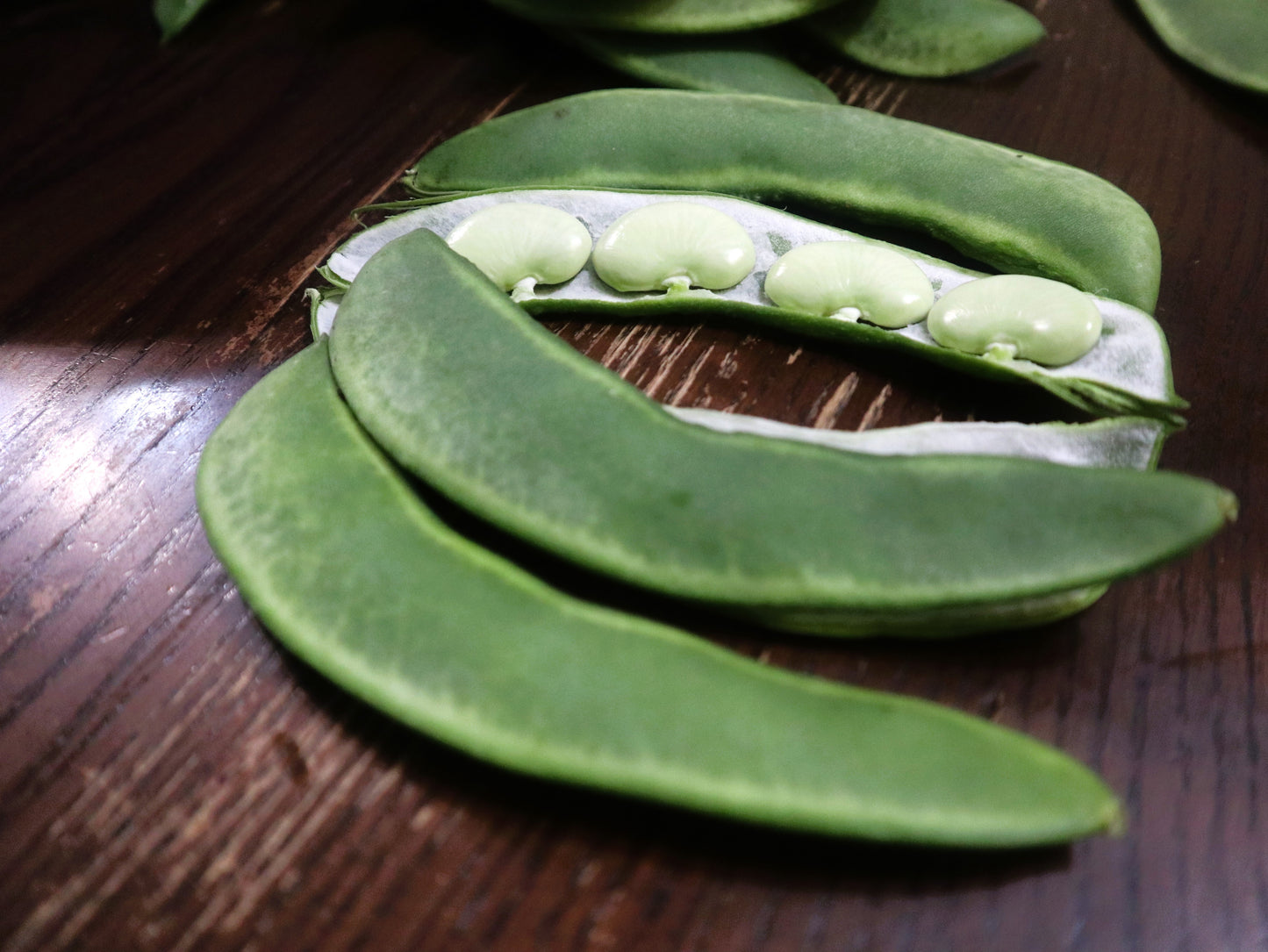 20 FORDHOOK LIMA BEAN Phaseolus Lunatus Bush Bean Vegetable Seeds