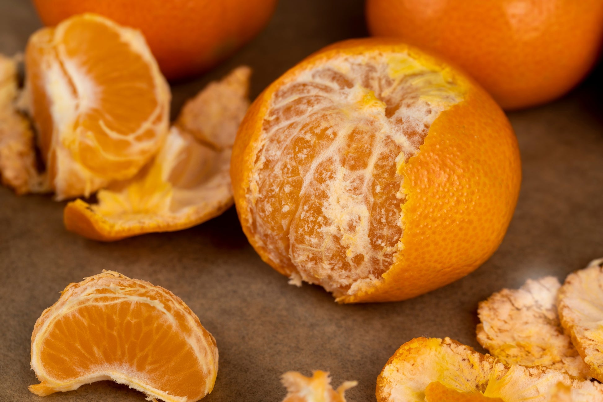 plant tangerine seeds 20 TANGERINE Mandrin Orange Citrus Reticulata Fruit Tree Seeds