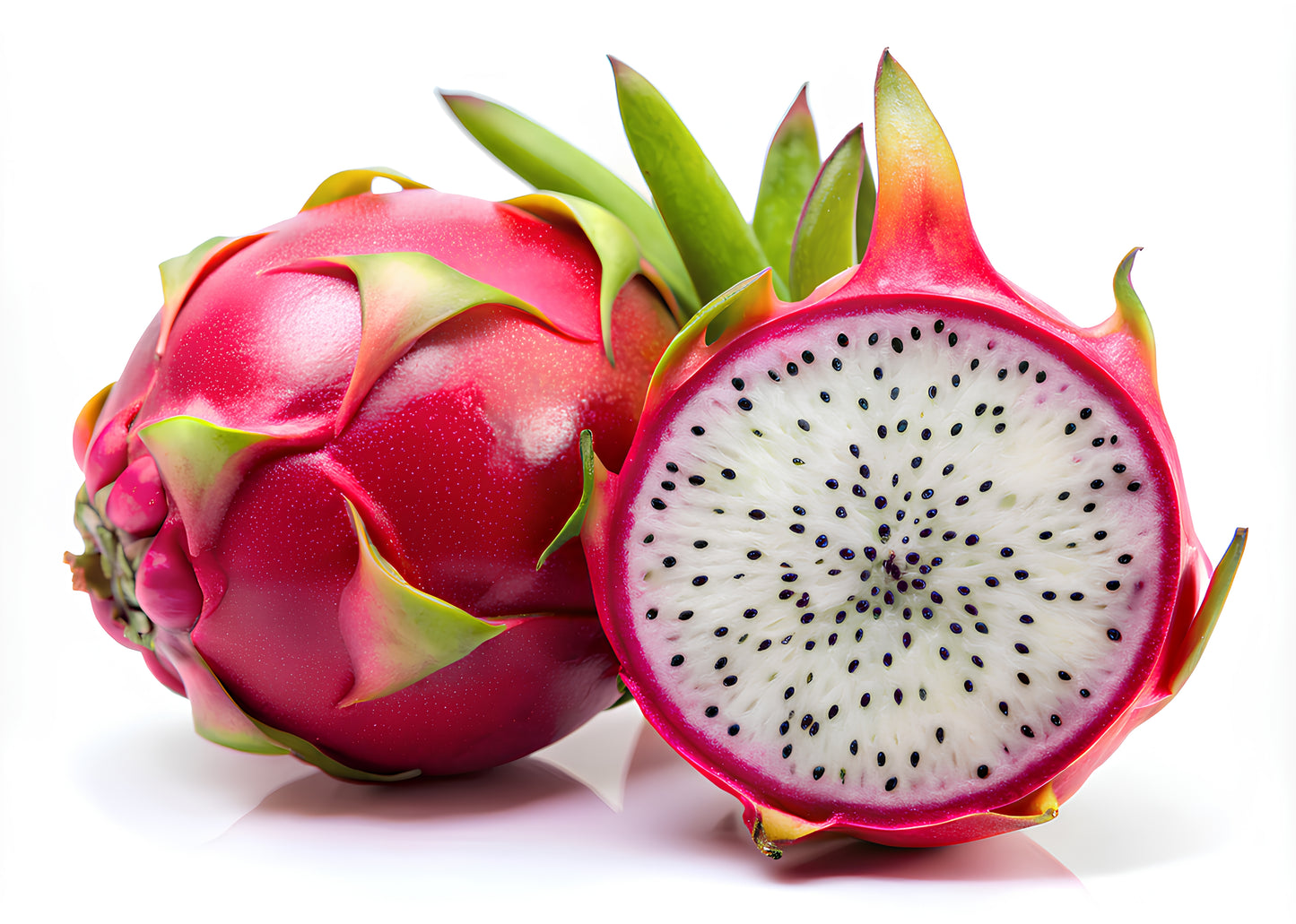 20 WHITE DRAGON FRUIT (Pitaya / Pitahaya / Strawberry Pear) Hylocereus Undatus Cactus Seeds