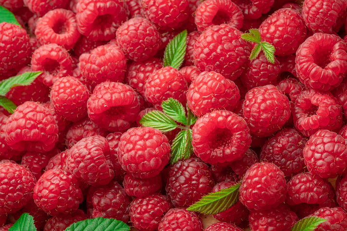 Usa Apple Raspberry 100 RED RASPBERRY Rubus Idaeus Fruit Bush Vine Seeds – Seedville USA