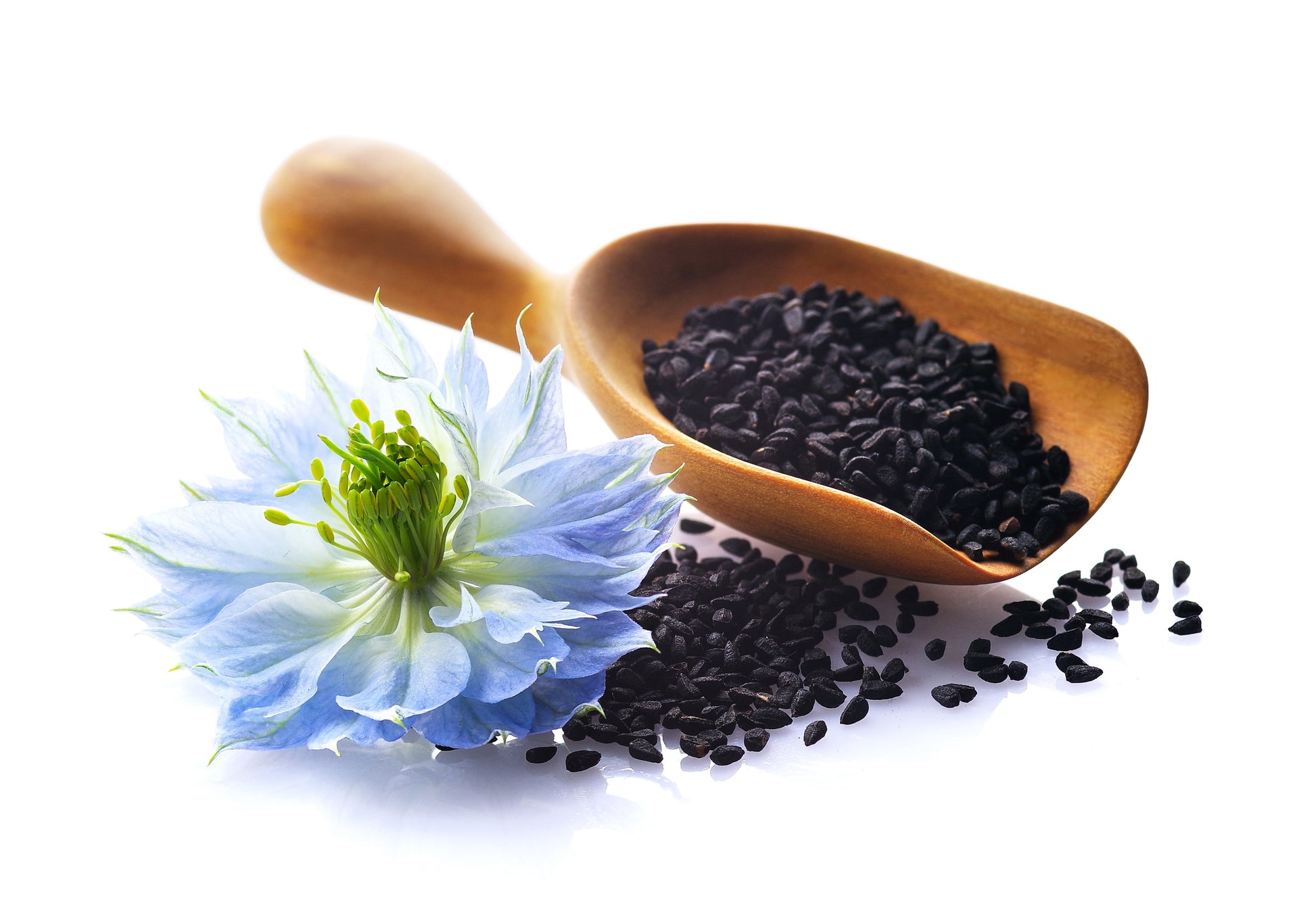 black seed fennel flower 150 NIGELLA Sativa BLACK CUMIN Spice Black Caraway Fennel Flower Herb Seeds
