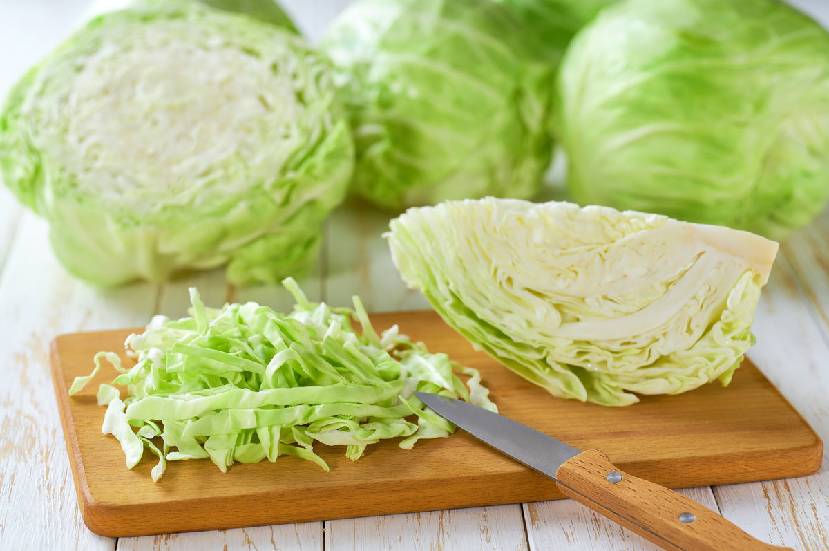 500 GOLDEN ACRE Early CABBAGE Brassica Oleracea Capitata Vegetable Seeds