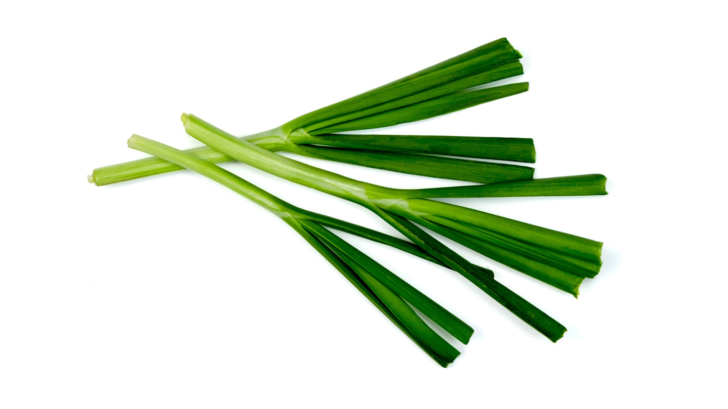 500 CHINESE LEEK (Oriental Garlic / Garlic Chives / Chinese Chives / Flat Chives) Allium Tuberosum Vegetable Seeds