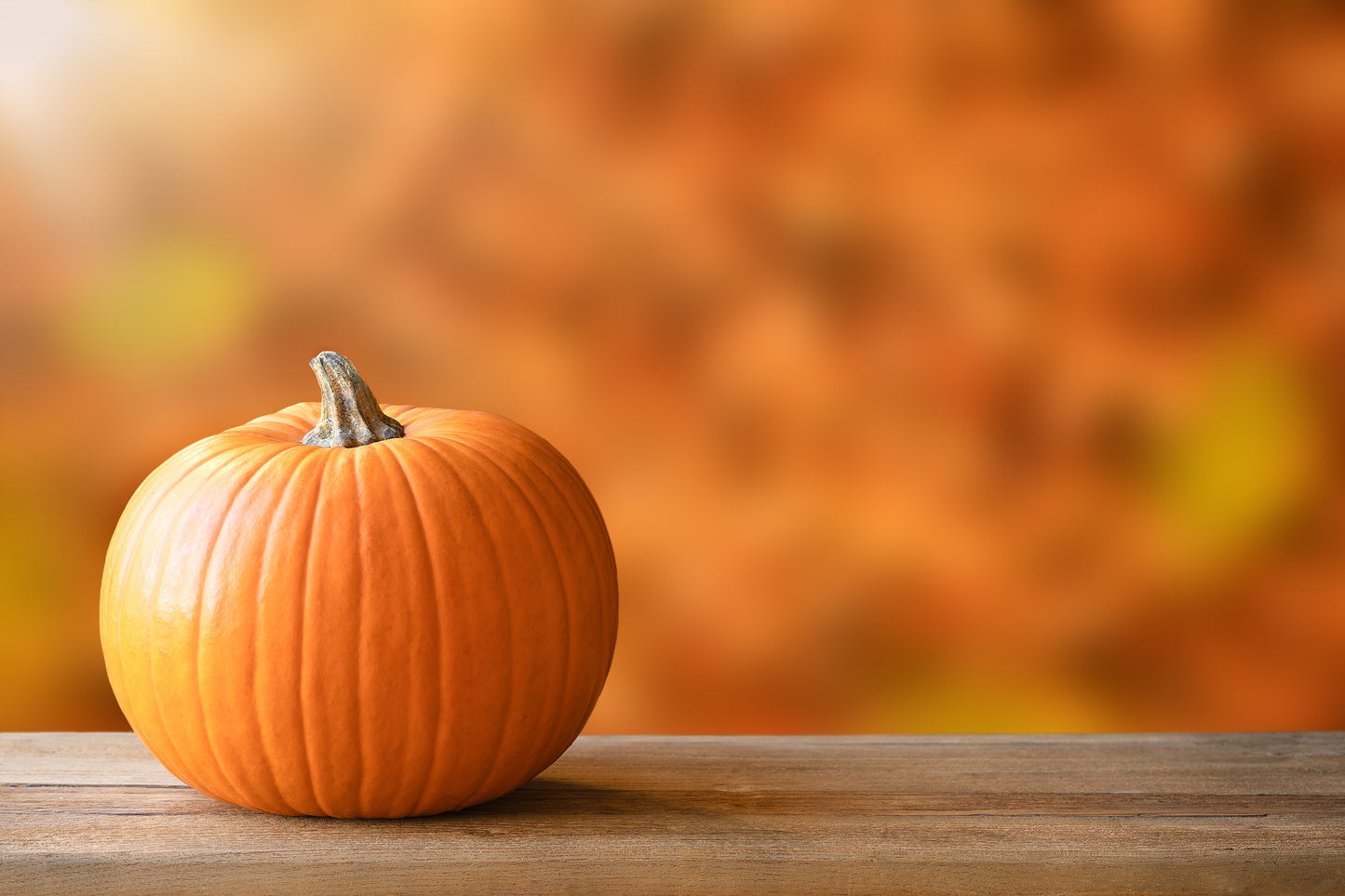50 SPOOKIE PUMPKIN aka Deep Sugar Pie Pumpkin Cucurbita Pepo Vegetable Seeds