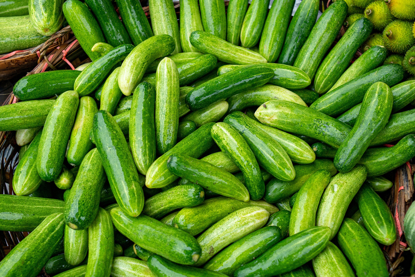 200 MARKETMORE 76 SLICING CUCUMBER Fruit Cucumis Sativus Seeds