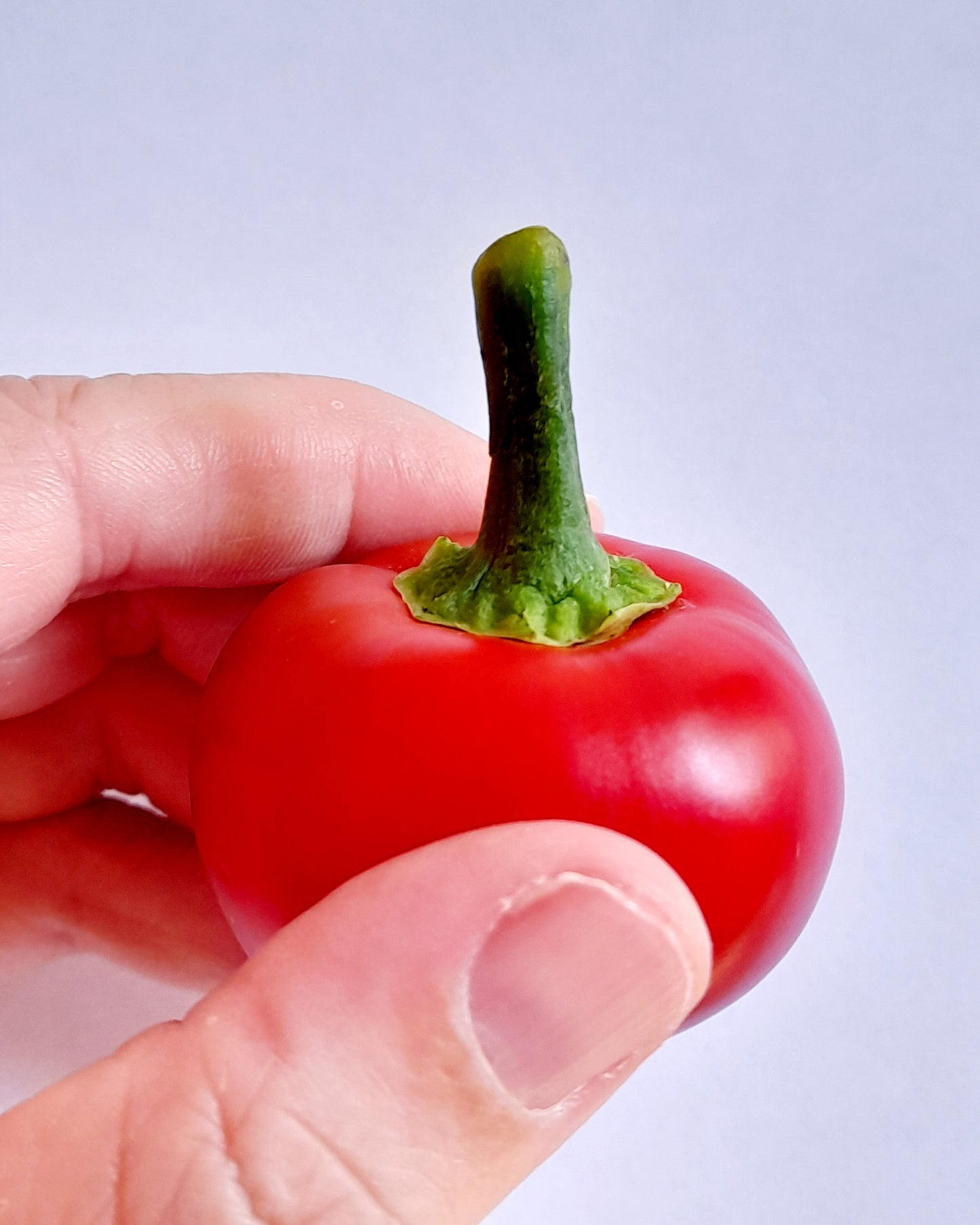 100 SWEET CHERRY PEPPER Red Chili Capsicum Annuum Vegetable Seeds