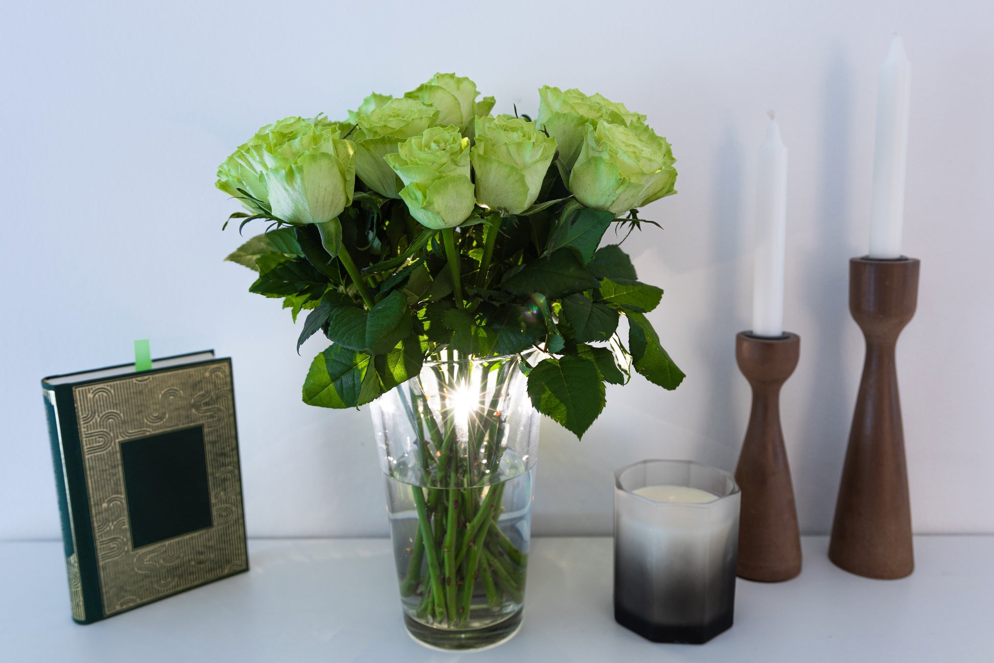 green rose seeds for sale 5 GREEN ROSE Rosa Bush Shrub Perennial Flower Seeds